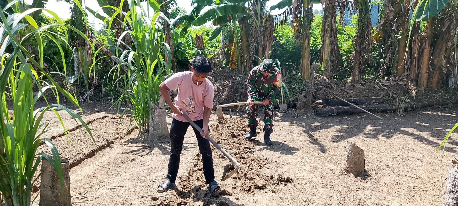Satgas TMMD Kodim 0114/Aceh Jaya Siapkan Bedengan untuk Berbagai Jenis Sayuran