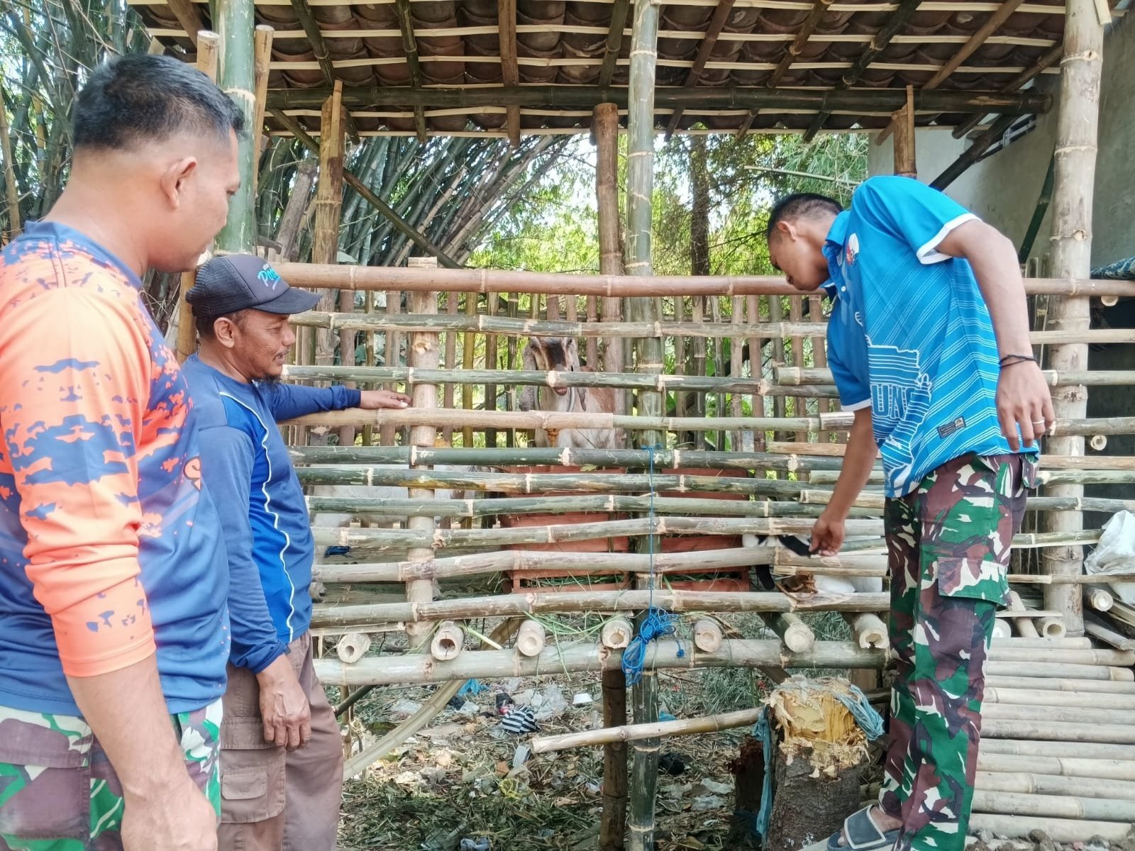 Pendampingan Dinas Terkait, Hasil Obrolan TNI dengan Peternak