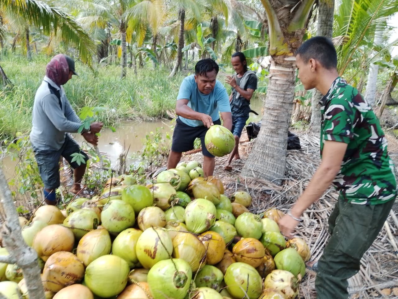 Percakapan Santai Kopda Dede dengan Petani Kelapa di Tamban Bangun