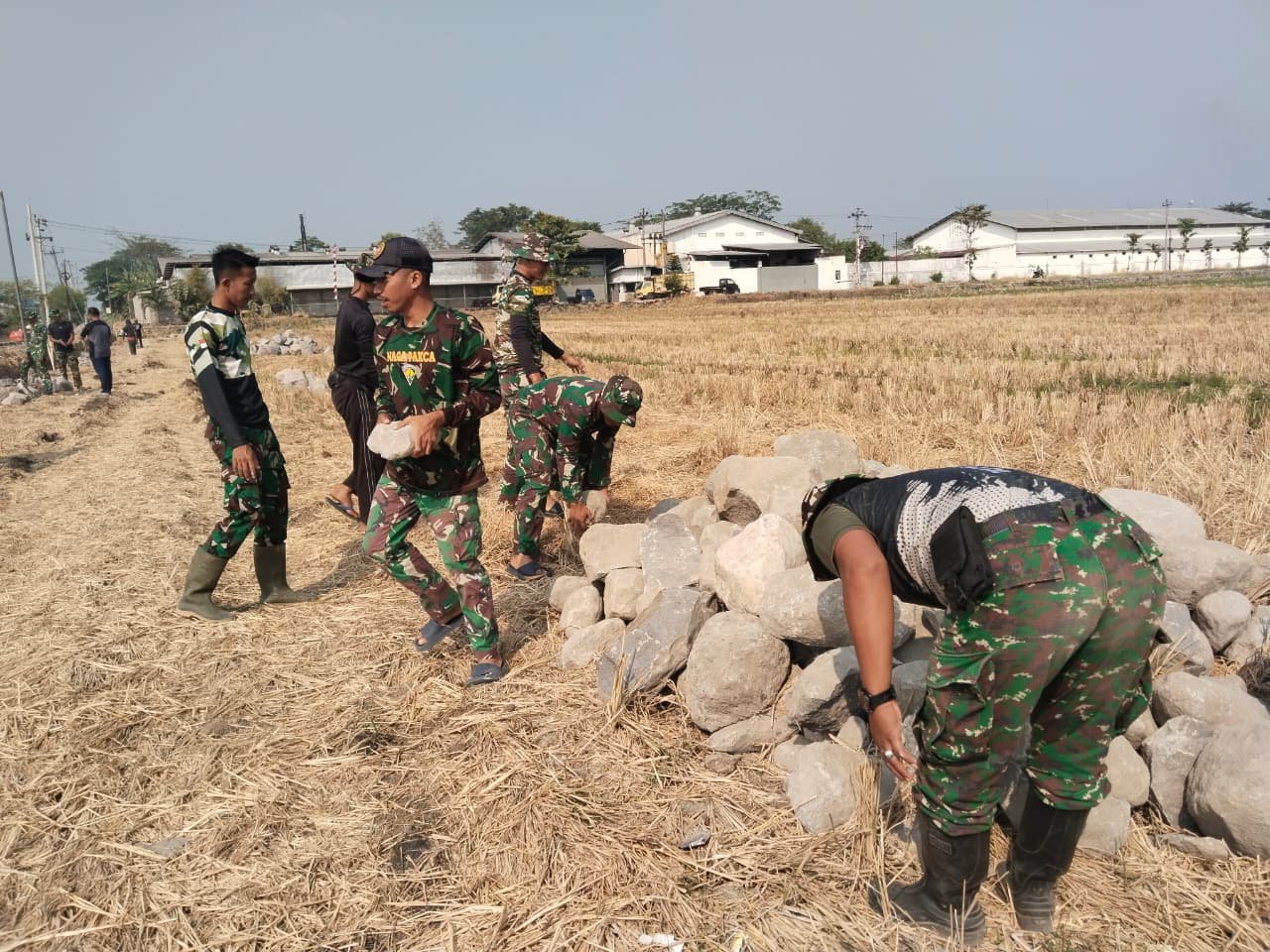 Gotong Royong Tanpa Mesin, Talud Penopang Pertanian Dibangun di Parangjoro