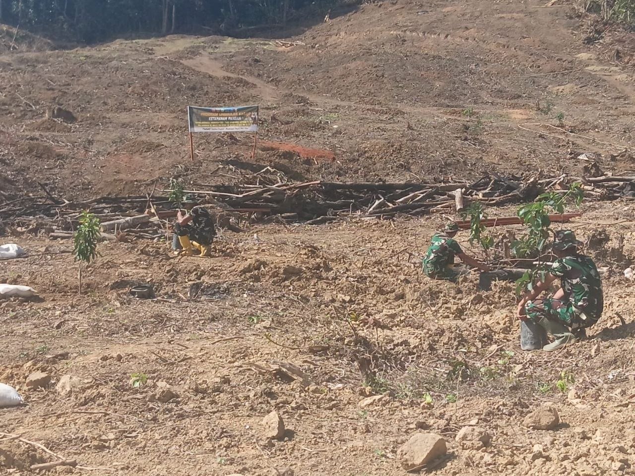 Batulappa Hijau Kembali: Satgas dan Warga Tanam Alpukat